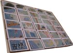 根吉1.jpg